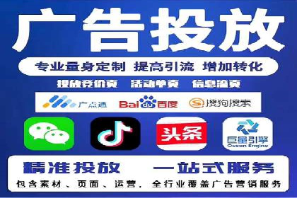 某企业SEM广告投放的ROI提升策略及效果展示